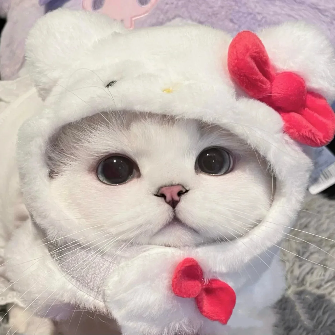 Cartoon Cat Headwear Hat Kawaii Kuromi Cinnamoroll Bag Cute Anime Mini-Party Decoration Pet Headwear Toys for Girl Birthday Gift