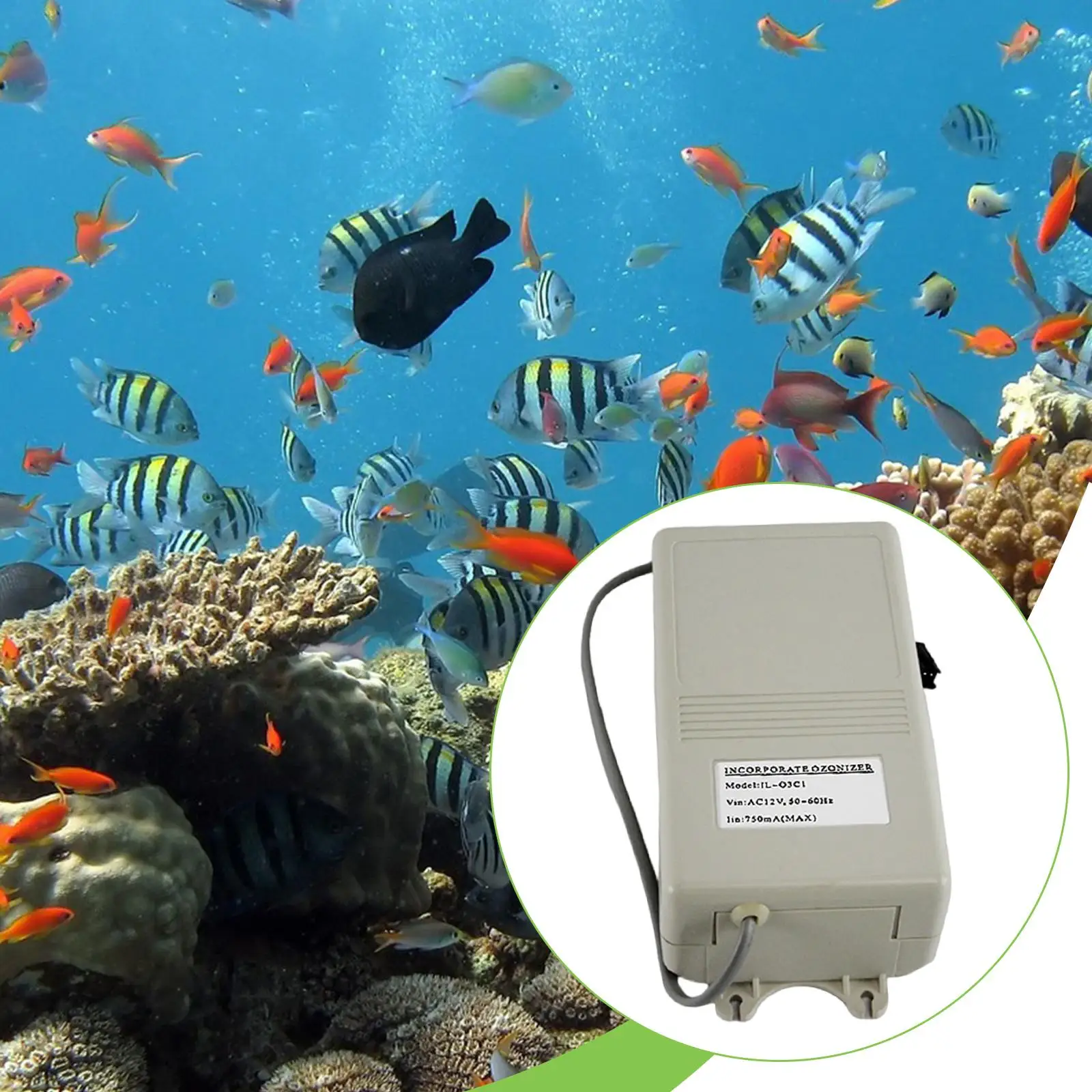 منقي هواء مولد الأوزون لإزالة الأوزون لأحواض السباحة الساخنة الباردة #4