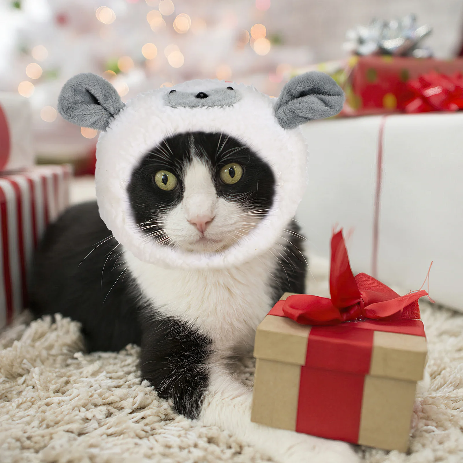 Chapeau pour animaux de compagnie Style agneau, couvre-chef en coton Durable et respirant pour chat, chaton, chiot, accessoire Photo de fête, couvre-chef pour animaux de compagnie