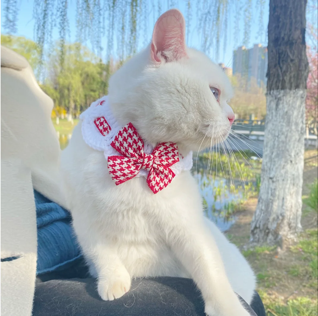 Pet vestir-se gatos roupas colar gatos roupas gravata borboleta bonito decoração do animal de estimação arco cão gato colar traj