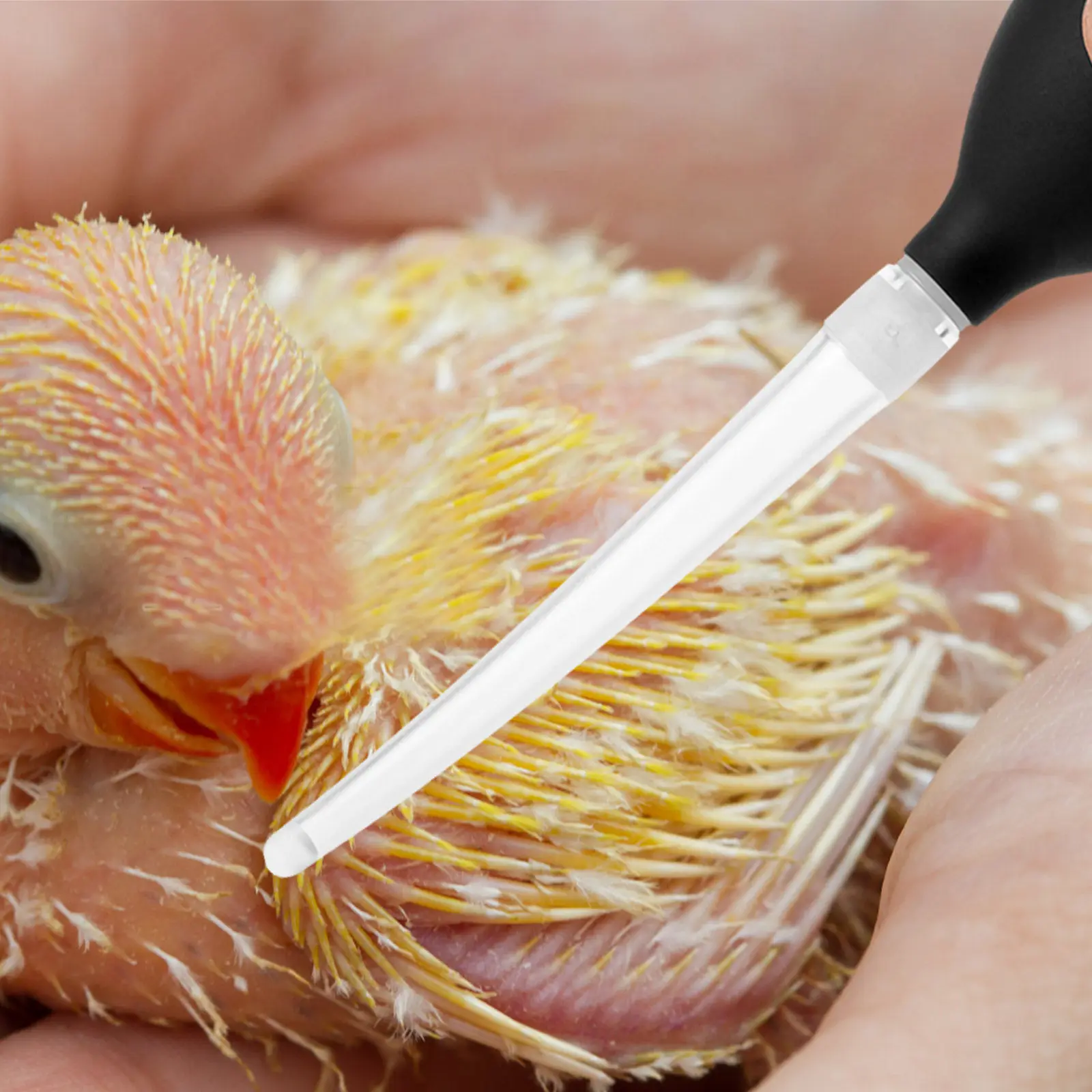 Portable Pigeon Wea…