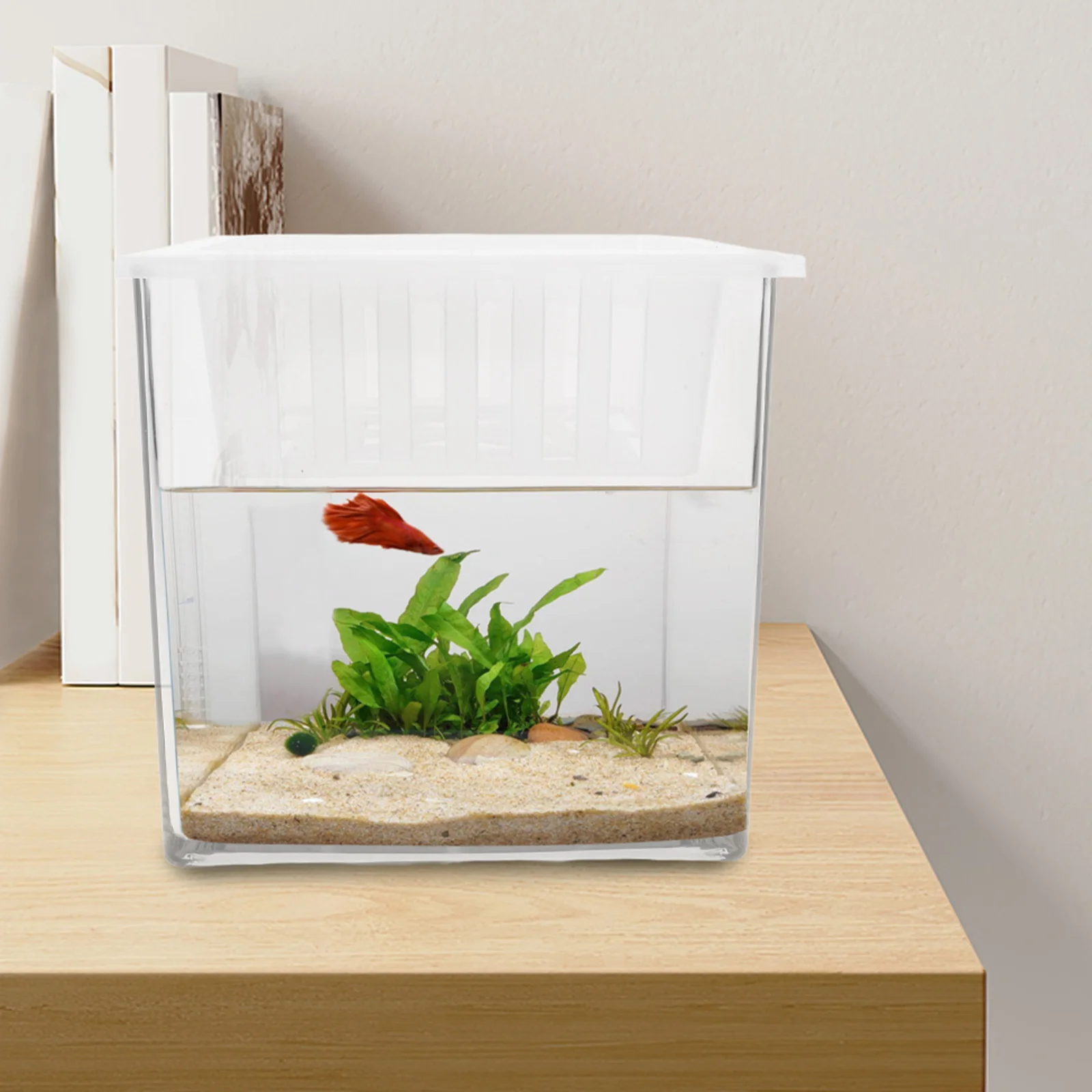 

Clear Plastic Betta Tank Mini Aquarium With Plant Basket Hydroponic Terrarium For Home Office Decor Small Fish Breeding Box