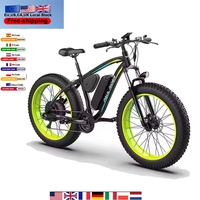 Limited-time low-cost  1000W fat tire electric bicycle aluminum alloy adult Beach snow ebike 48V 15AH lithium battery ebike