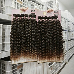 Snowdrop Curly Synthetic Hair Bundles Organic Protein Bio Fiber Hair Extensions Packages Hair Weaving