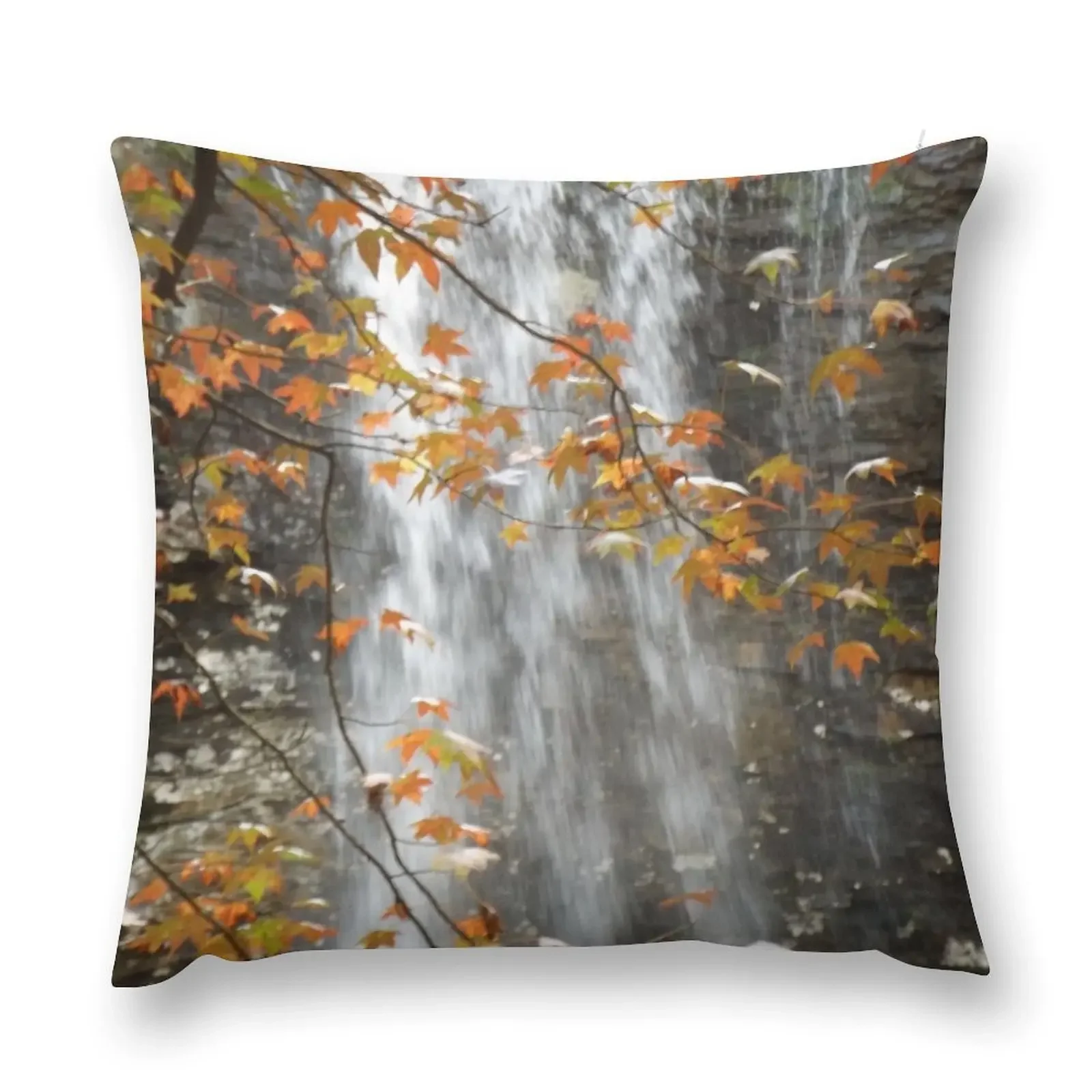 Fall Leaves & Falling Water Throw Pillow Decorative Cushions For Living Room Sitting Cushion pillow