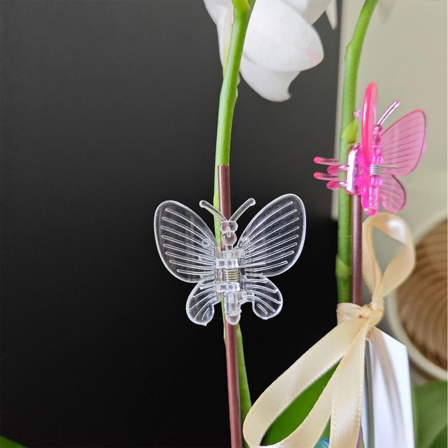 50PCS 5-Claw Plant Clips Orchid Flowers Support Clamp Climbing Vine Stem Clasp Tied Bundle Branch Garden Tool Multicolor