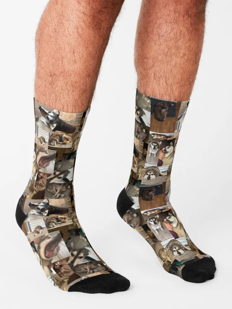 Stewarts Dogsocks Sport Man Sok