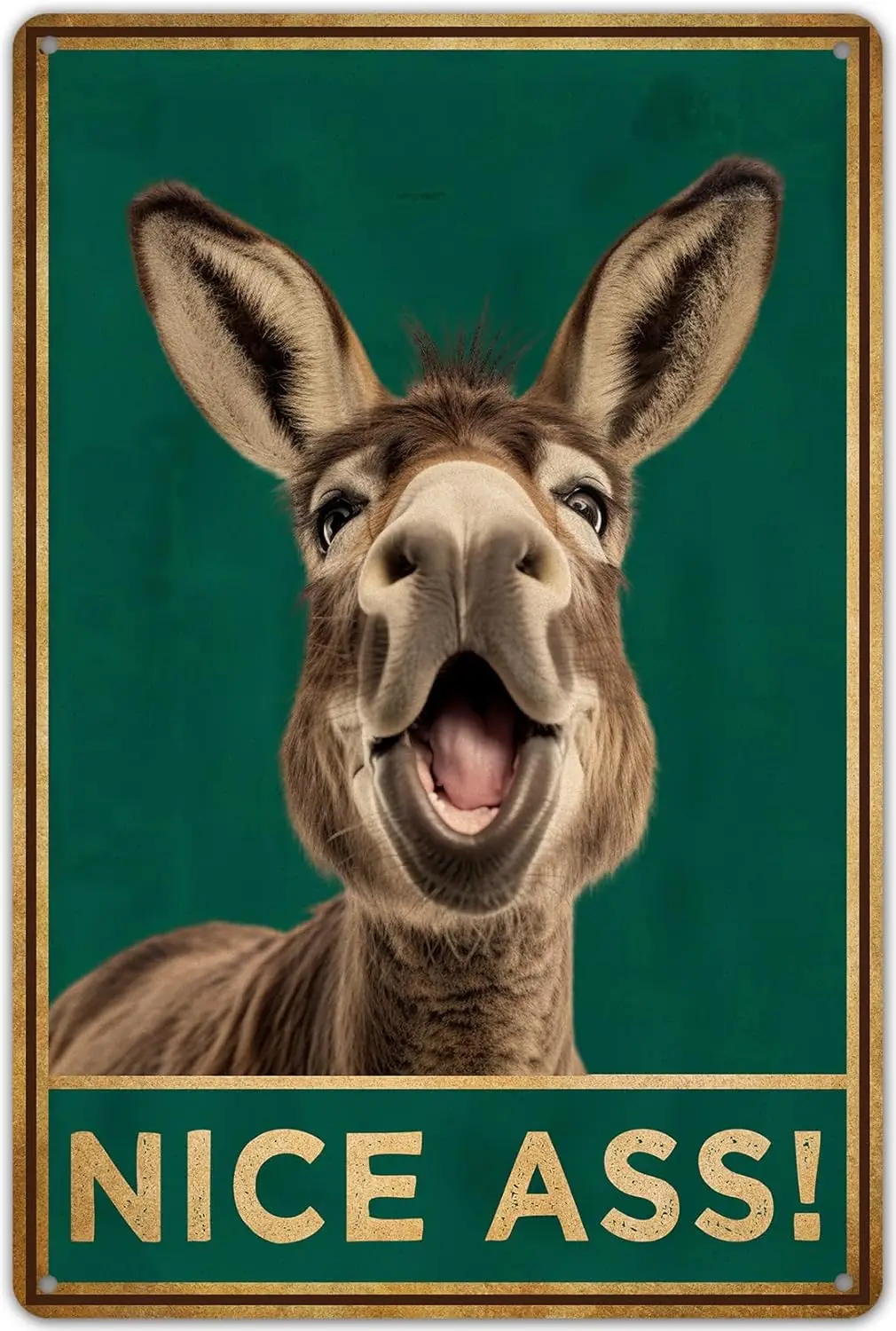 KENSILO Funny Donkey Bathroom Decor, Nice Ass Metal Tin Sign Wall Decor Farmhouse Sign for Toilet Restroom Washroom Decor Gif