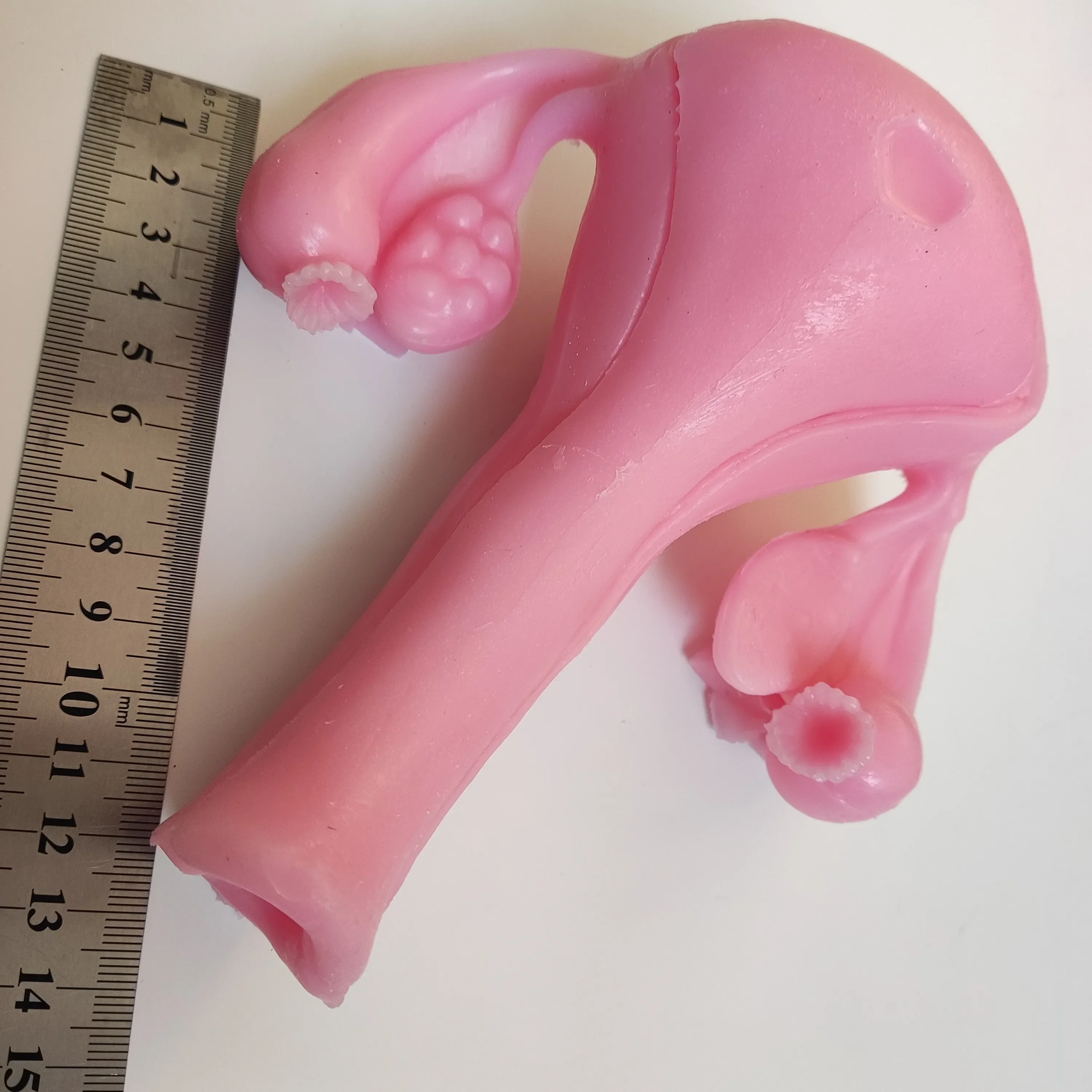 Gynecological Surgery Training Model – 3D Bionic Silicone (Shear, Suture, Peeling)