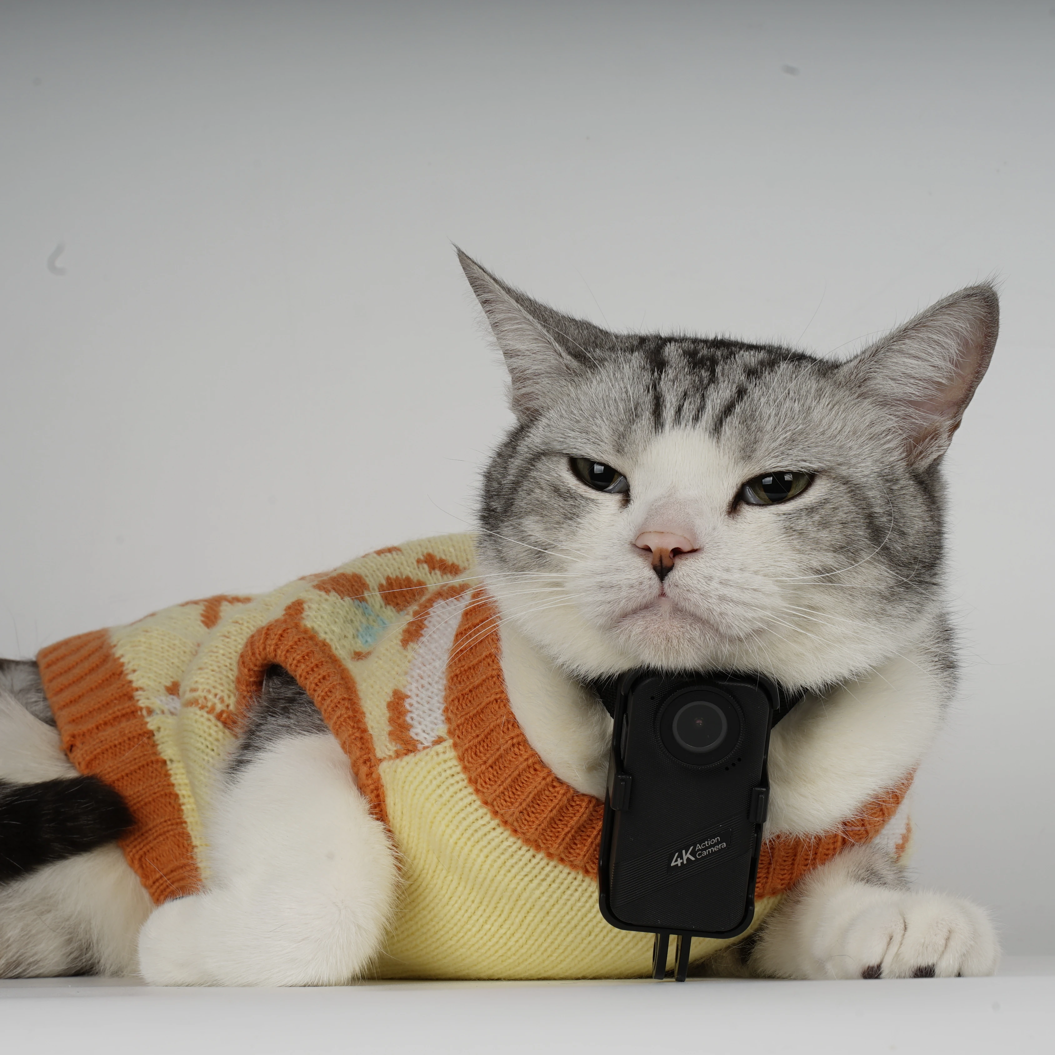 

Waterproof GPS tracker Smart Pet Mini 4K With Smart Collar Remote Monitoring Real-time Activity Updates