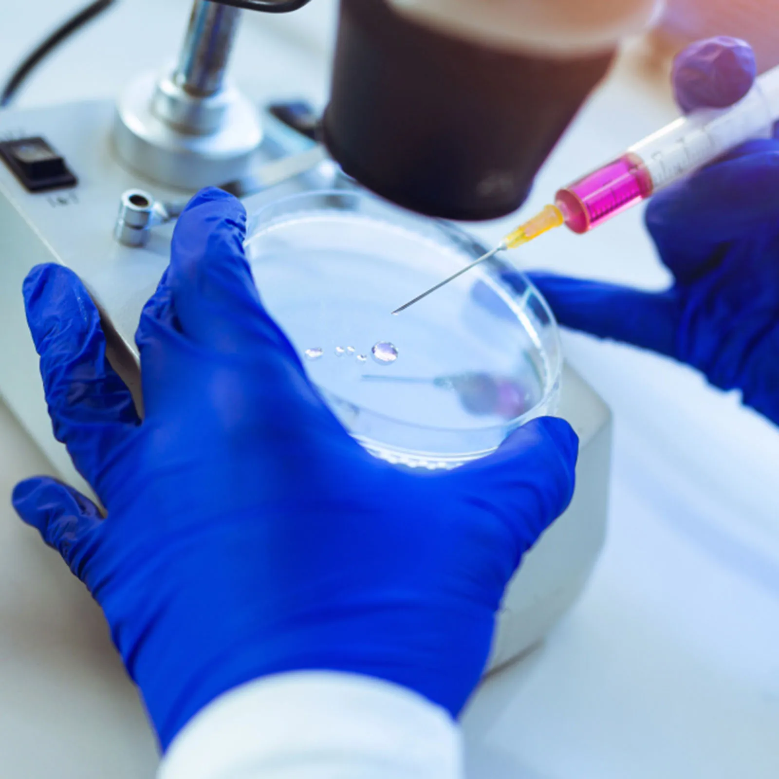 

20Pcs 70mm Plastic Petri Dishes Sterile Precise Design Not Easy to Break for Experiment Uses Plastic Petri Dish