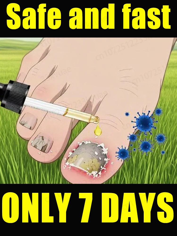 

Nazissazi. STO azi분