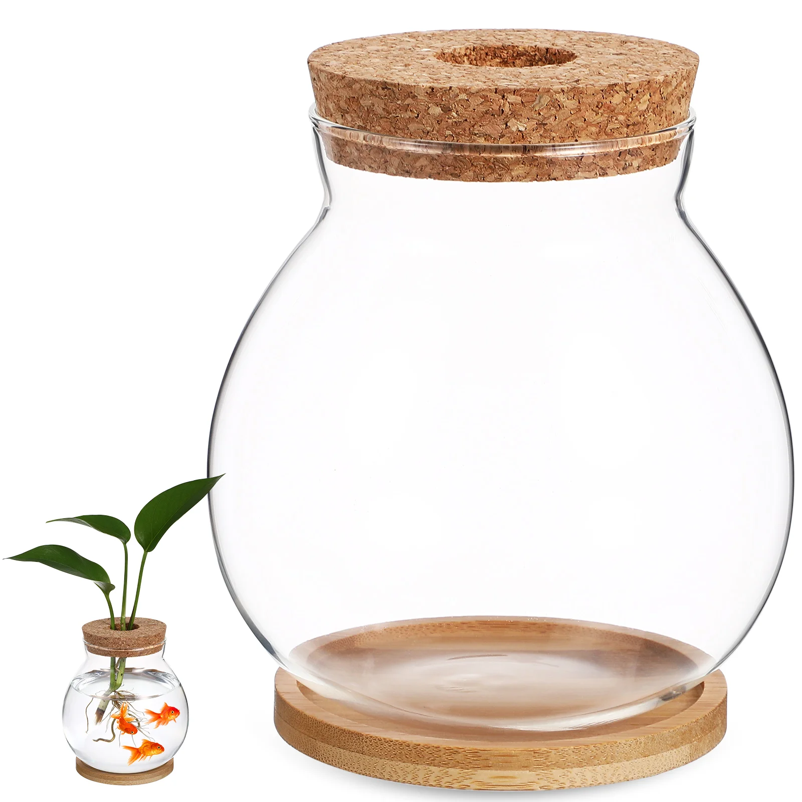 

13*14cm)+bamboo Mat 1pcs Mini Aquarium Small Fish Tank Bowl Tanks Plant Terrarium