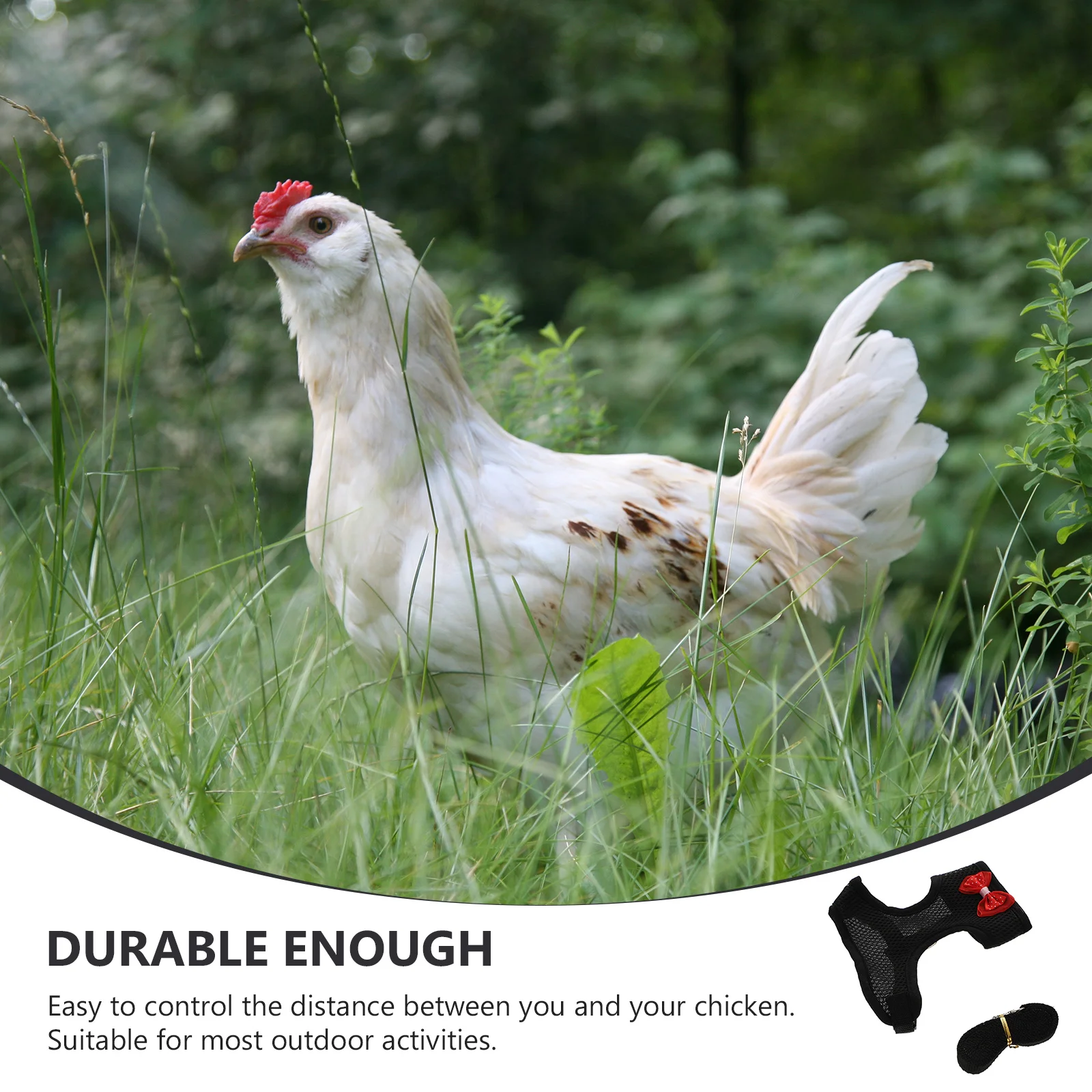 

1Set Chicken Leash and Harness Set Tough Rooster Pulling Strap for Walking Running Safe Pet Hen Outdoor Use Rooster Leash