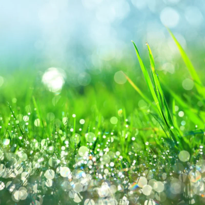 

MN Model 1/12 MN168 Metal 12mm Adapter Lock Nut For Remote Control Car Upgrade Accessories