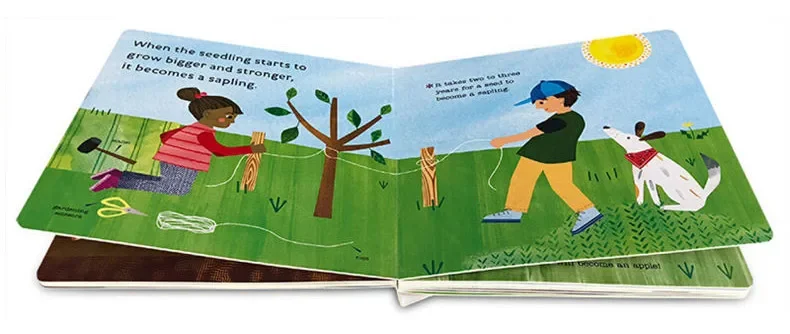 Hello World How Do Apples Grow، كتب الأطفال الصغار الذين تتراوح أعمارهم بين 1 2 3، كتاب لوحة مصور باللغة الإنجليزية 9780525578758