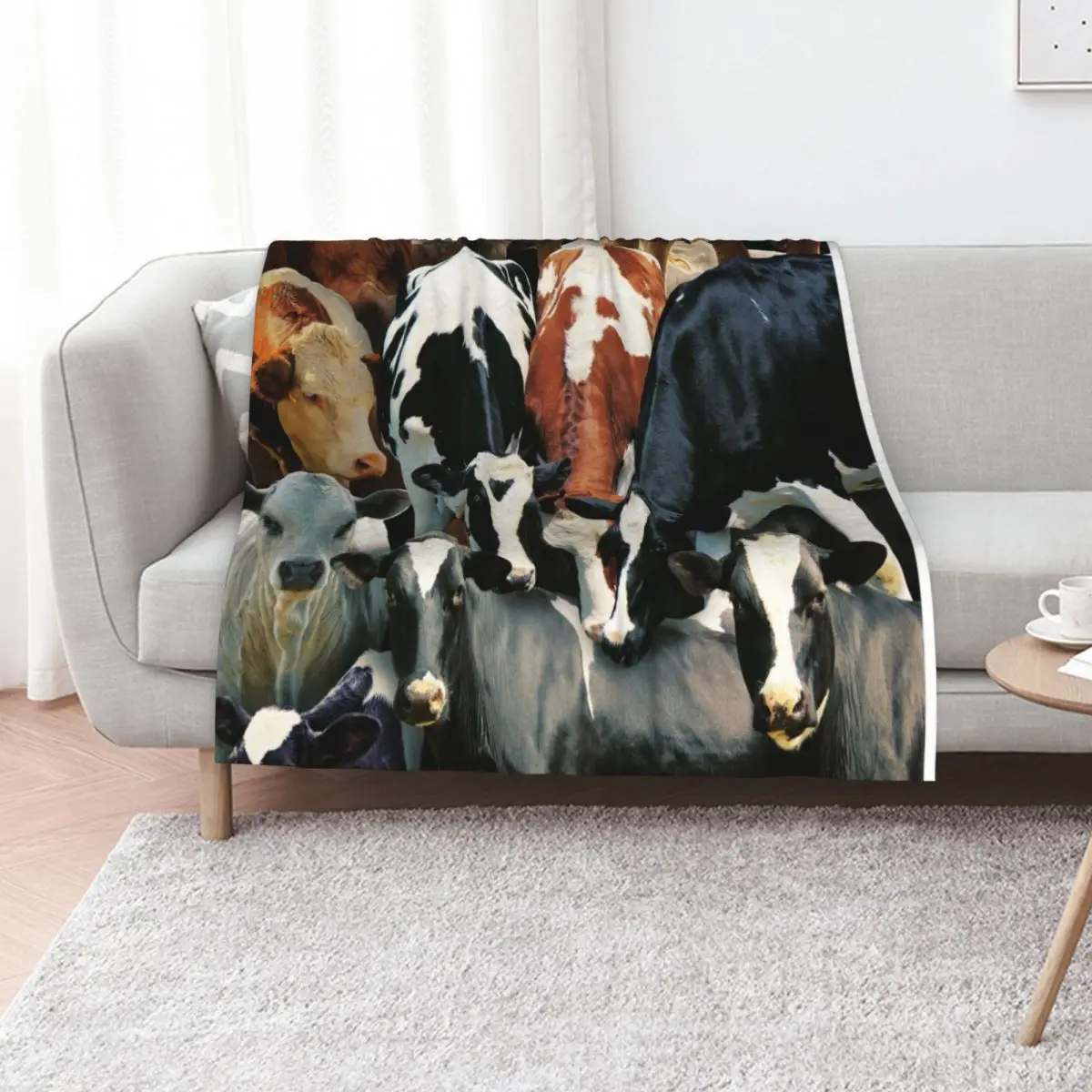 

Cows Throw Blanket Heavy For Sofa Thin Soft Beds Hairy Blankets