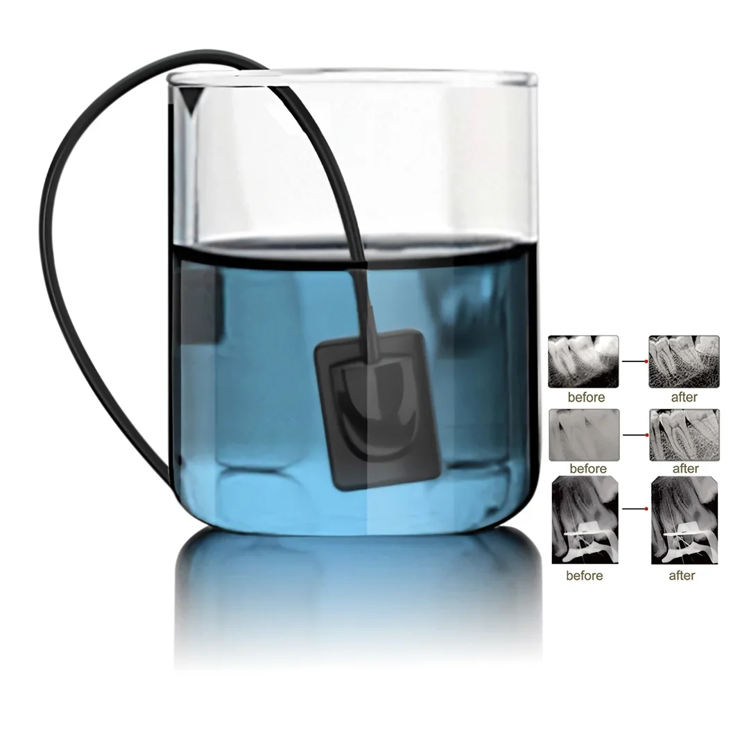 Flyer Digital Intra… - image