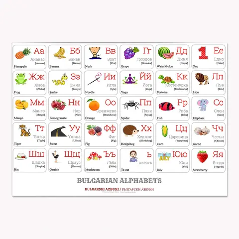 Vietnamese alphabet with words and English translation, Bulgarian alphabet, Shona alphabet typographic canvas educational poster