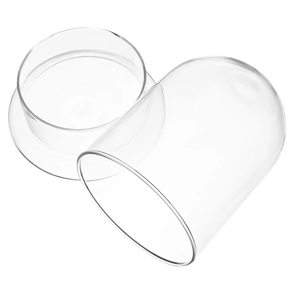 

Glass Display Bell Jar Clear Cloche Dome Micro Landscape Bottle Durable Water Saving Eco Friendly Clear Glass Dome