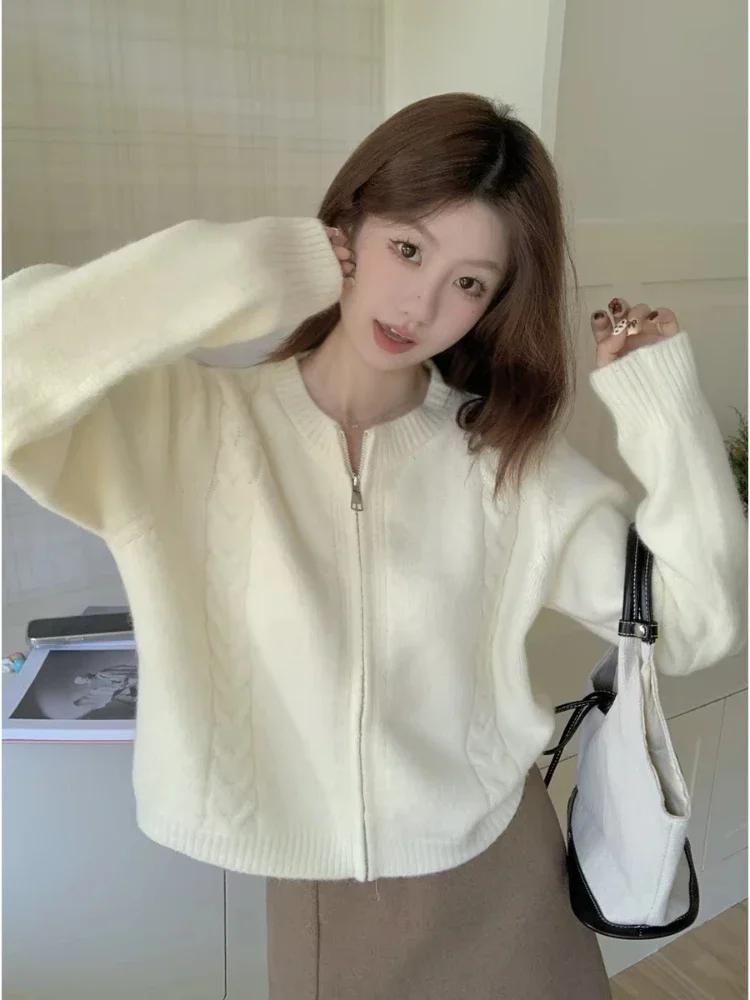 Solid Color Knitted Zipper Cardigan Autumn Winter Korean Version Arctic Fleece Loose Long Sleeved Sweater Jacket Warm Coat 2024