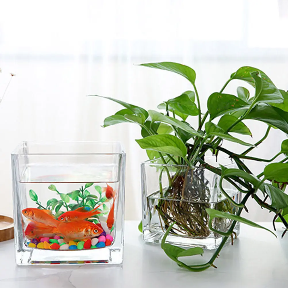 4Pcs Hydroponic Container Glass Plant Vase with Wooden Stand for Desktop Home Office Decoration Wedding Birthday Gift Flower
