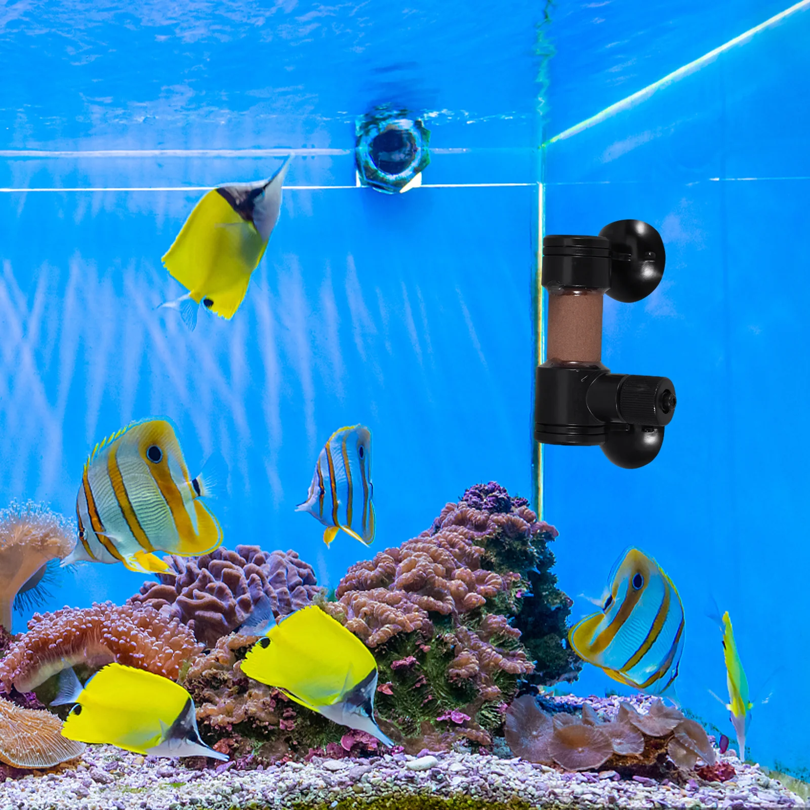 

Aquarium Carbon Bubble Diffuser Efficient Air Stone for Healthy Aquatic Plants Fish Tank Bubbler Aerator Accessory