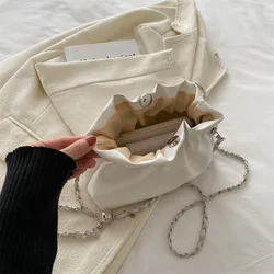 TRSYPHXM Niche texture bag for women 2024 new summer versatile chain shoulder crossbody bag, high-end pleated cloud bag