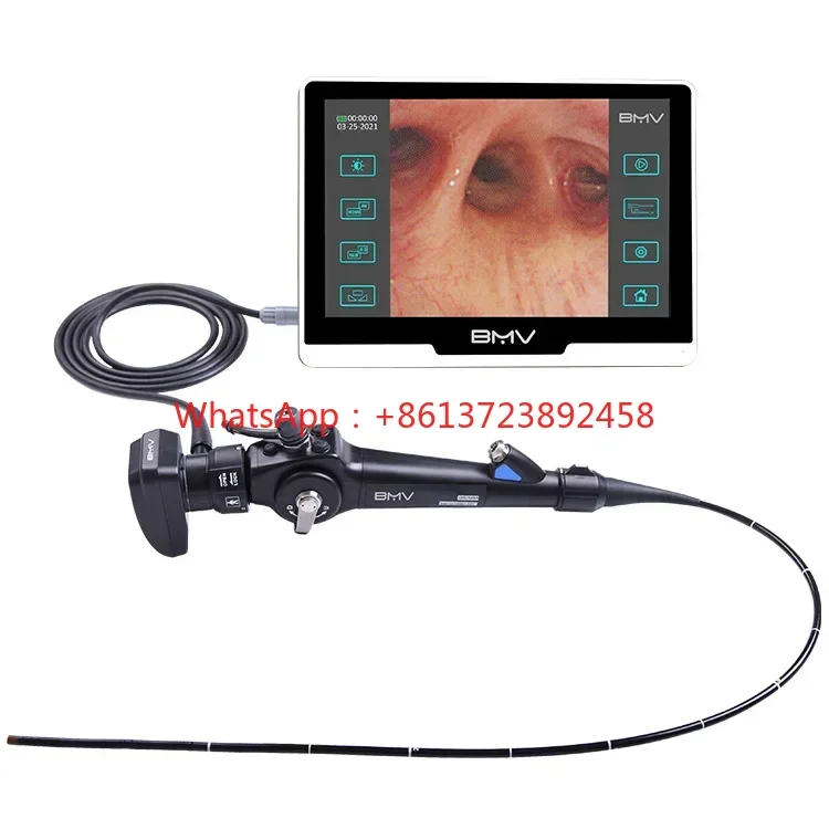 Veterinary Portable Video Gastroscope Equipment Medical No Fiber Flexible Endoscope Stomach Endoscope For Pet Animals