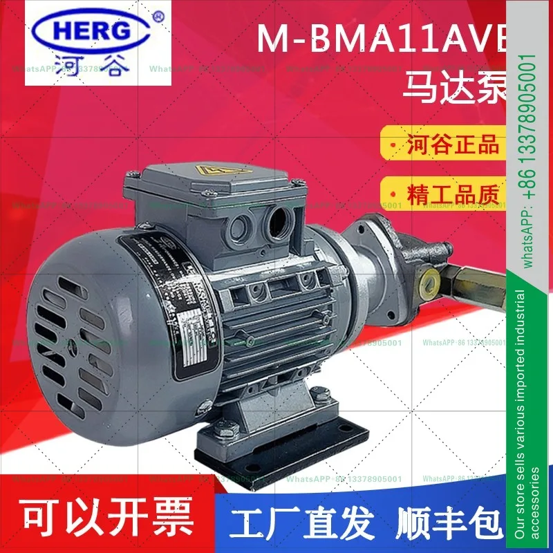 HERG motor motor pump lubricating oil pump triangular oil pump M-BMA-11A/10A/12A/13A/1FS