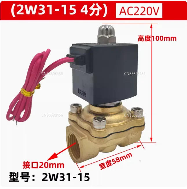 

2W31-15 2W31-20 AC220V