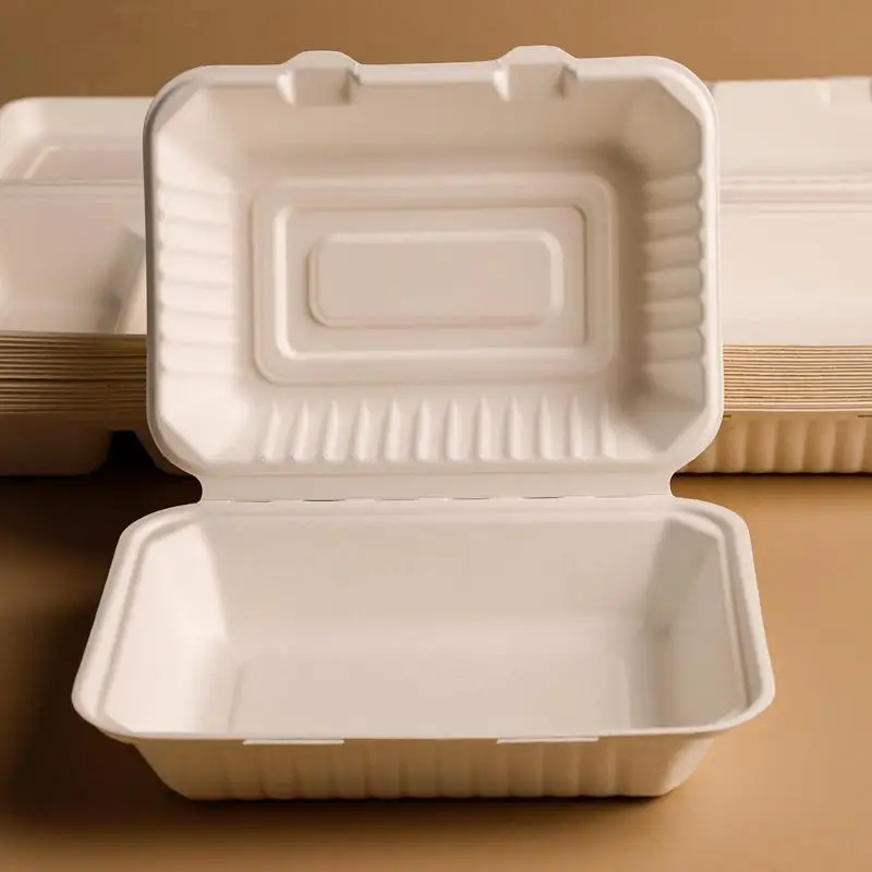 10Pcs Disposable Packaging Lunchbox Vegetable Fruit Salad Bento Boxes Container