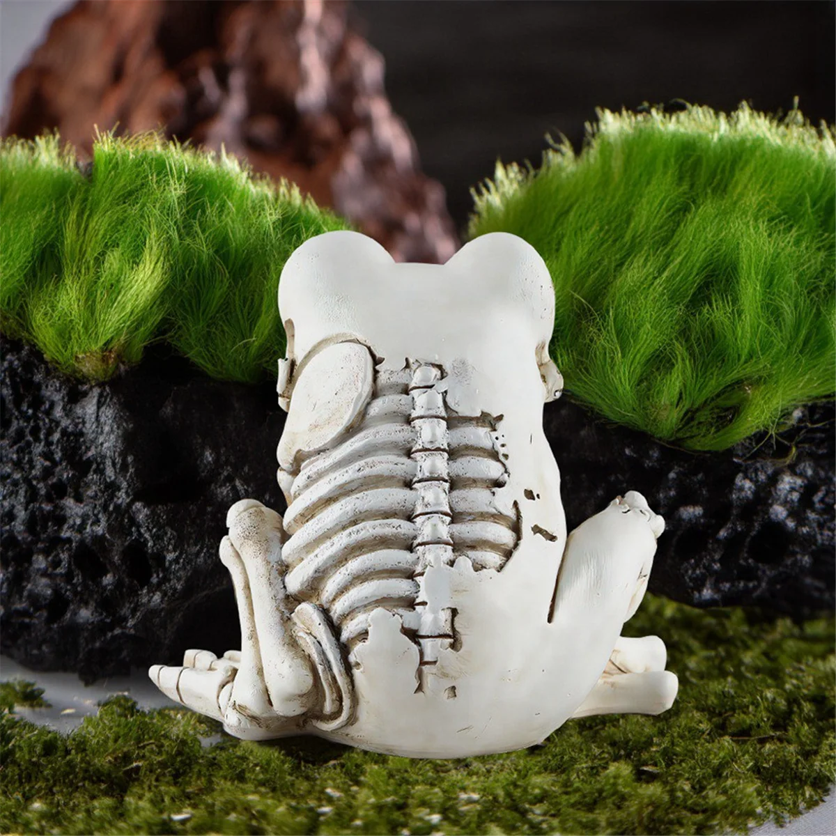 Frog Skeleton Model Halloween Animal Skeleton Statue Realistic Terrifying Animal Skeleton Decor Frog Ornaments