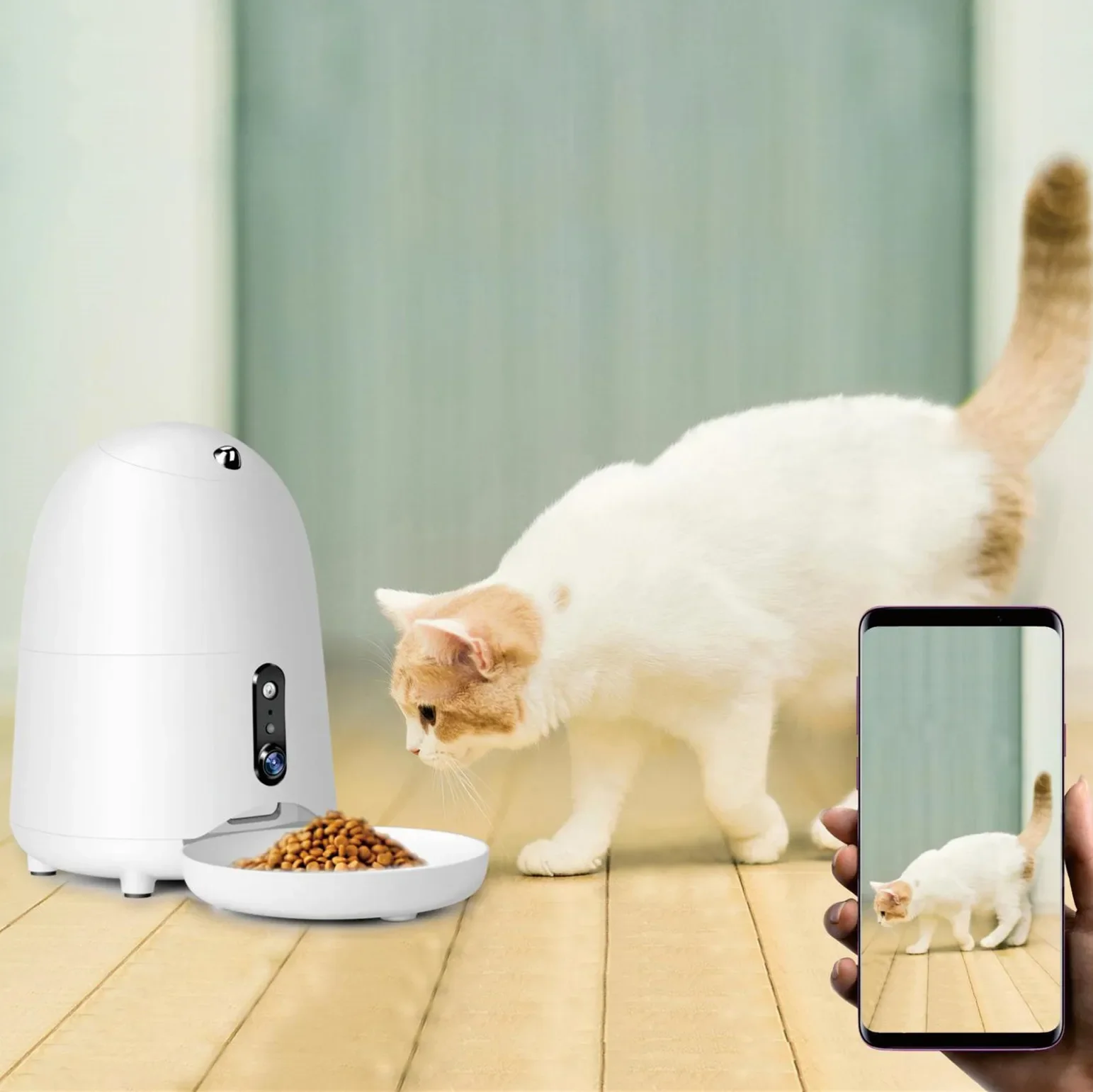 

Automatic Pet Feeder for Cats and Dogs, Timed Pet Food Bowls, 2L App Control, Video and WiFi Smart Feed Shoot Tool