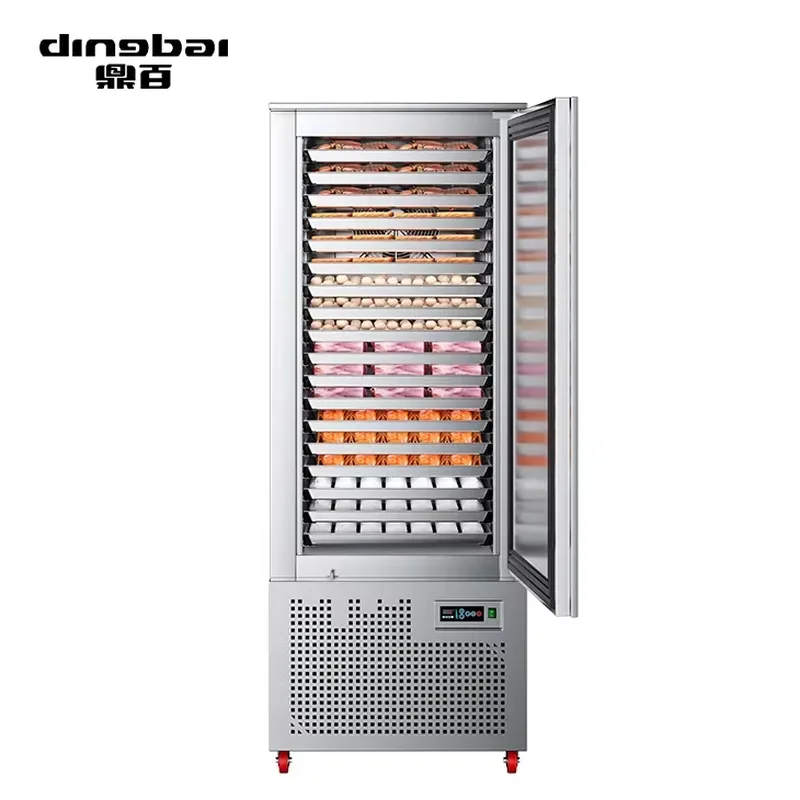 Dingbai Large Shock Blast Freezer 600L Capacity -40 Accurate Temperature Control 2205W Compressor Air Cooling for Quick
