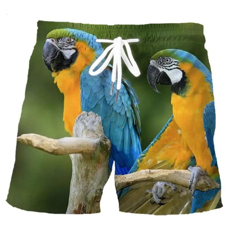 Parrot Graphic Beach Shorts Men 3D Printing Board Shorts Swimsuit Homme Summer Swim Trunks Cool Kids Ice Shorts Male Clothes