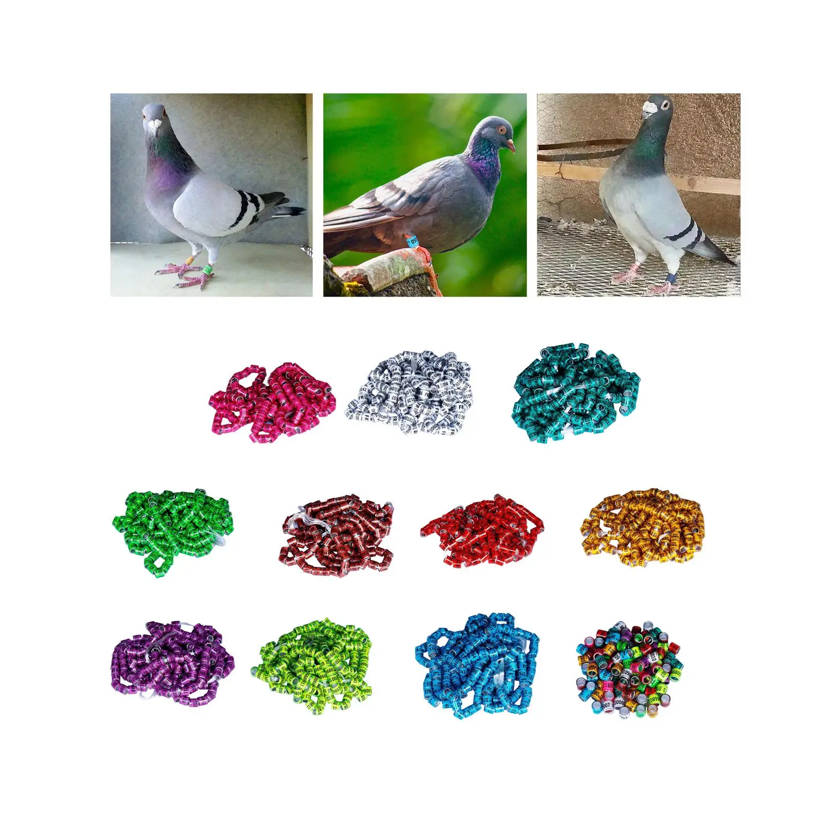 Anillos de identificación para palomas – Set profesional de aluminio numerado - imagen 4