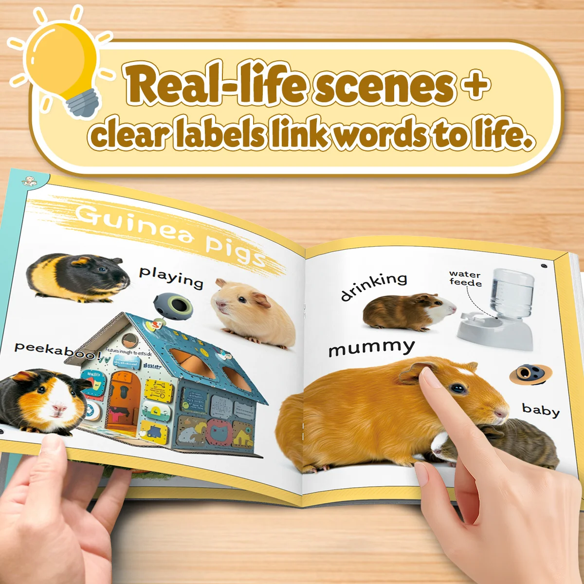 Encyclopedia of Early Learning: Pets, Kids Picture Book with Real Animal Photos, Early Learning Book About Dogs, Cats and More