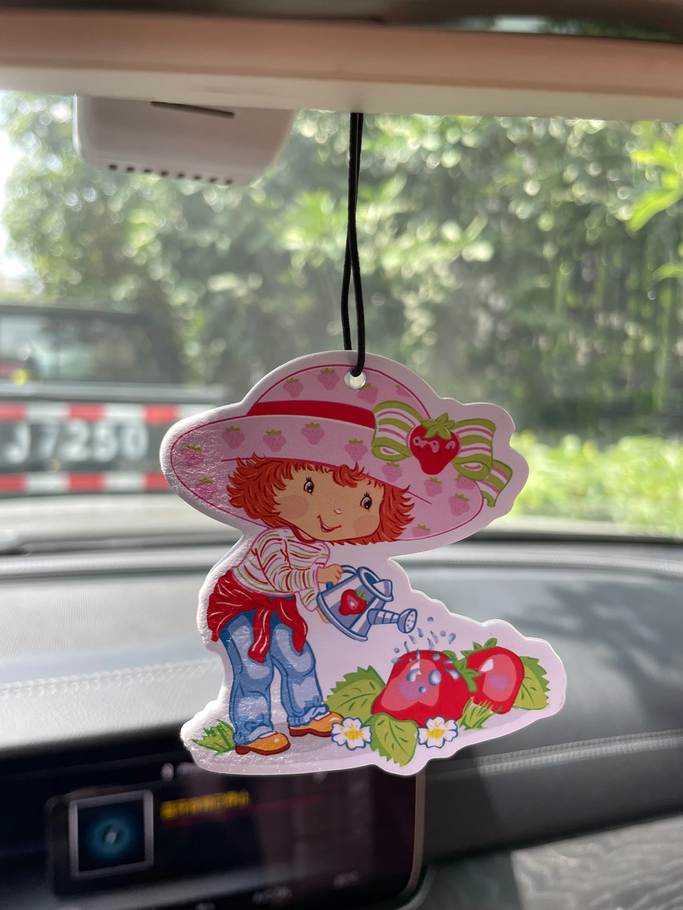 Strawberry Girl/Hilton Fresh Fragrance Five-Star Neutral Car Perfume and Non-Toxic Air Freshener |   Natural Essential Oils and Aromatherapy Scent Tablets (Noroili/Grapefruit/Cedar) |   Hanging Type and Dual-Purpose with Vent Clip |   Long-Lasting Fragrance for 60-90 Days |   Deodorize and Purify the Air |   Suitable for Use in Cars, Homes, Wardrobes, and Bathrooms. |   Same Fragrance as the One Sold in the Store