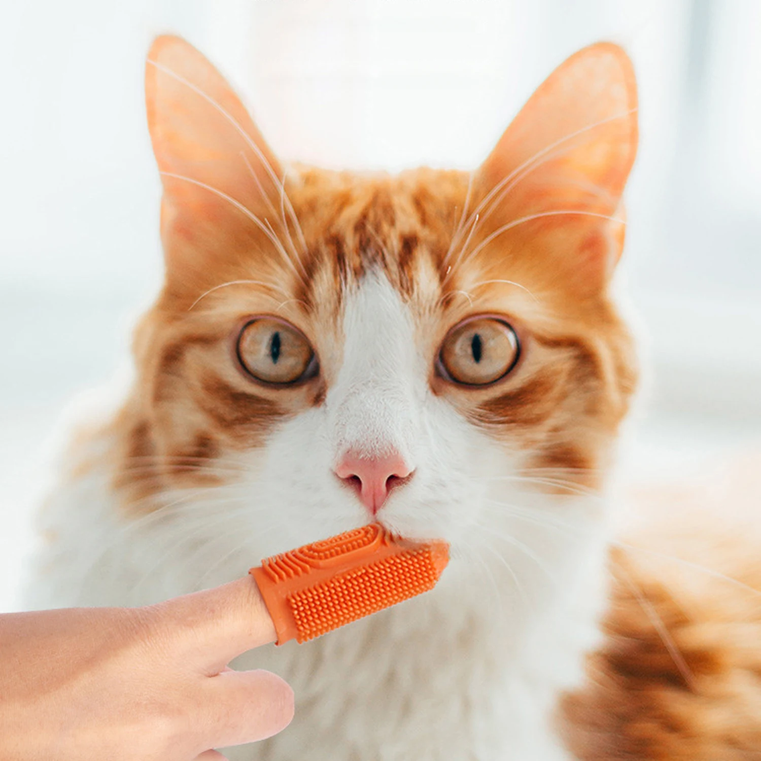 10pcs Dog Toothbrush Dog Teeth Cleaning Soft Hair Puppy Tooth Brush Silicone Dogs Toothbrush Dogs Mouth Cleaning Brushes