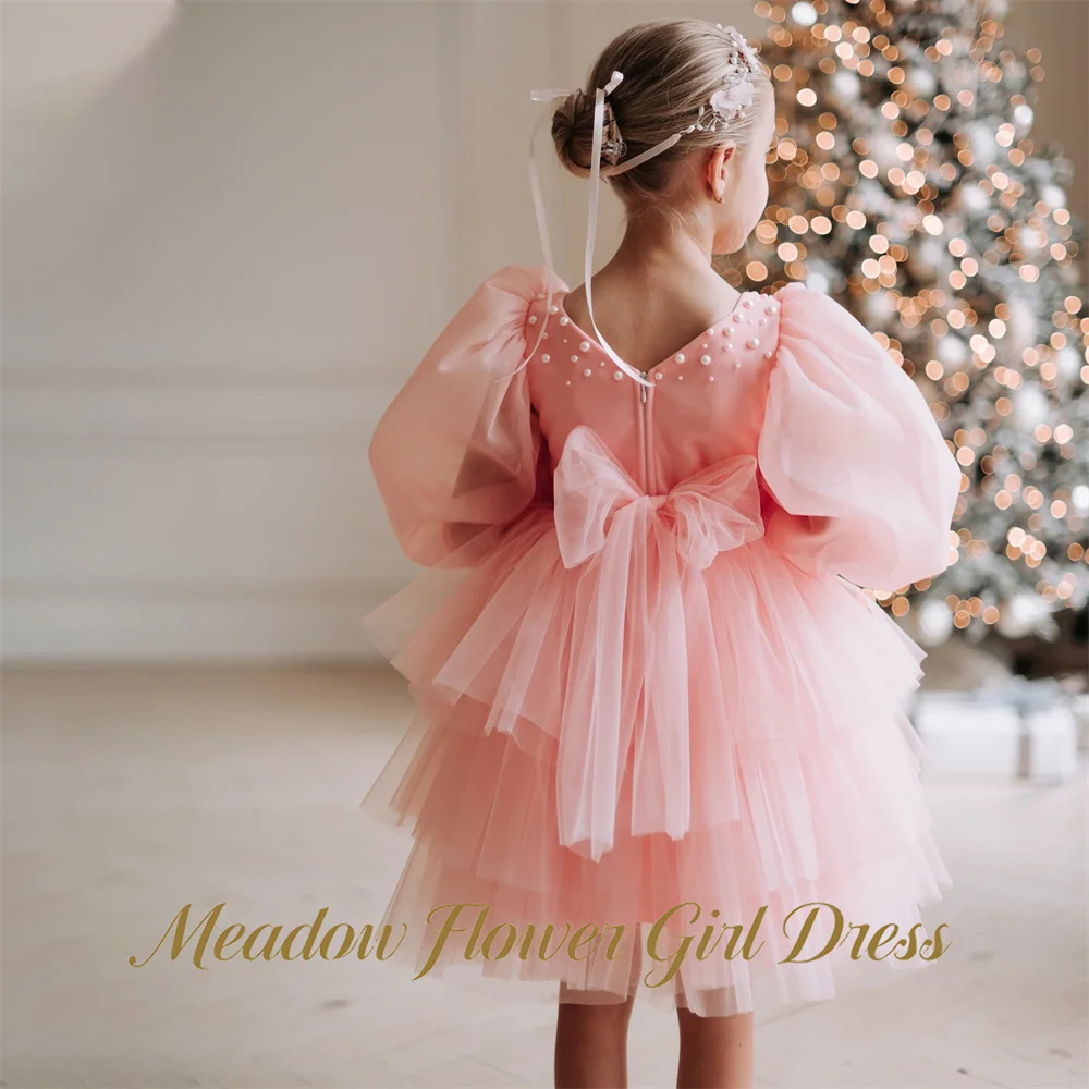 Meadow Peach Pink Flower Girl Dress 3D Roses On Bust Baby Kids Birthday Dress Pearl Trim Pageant Dress for Girl Customized