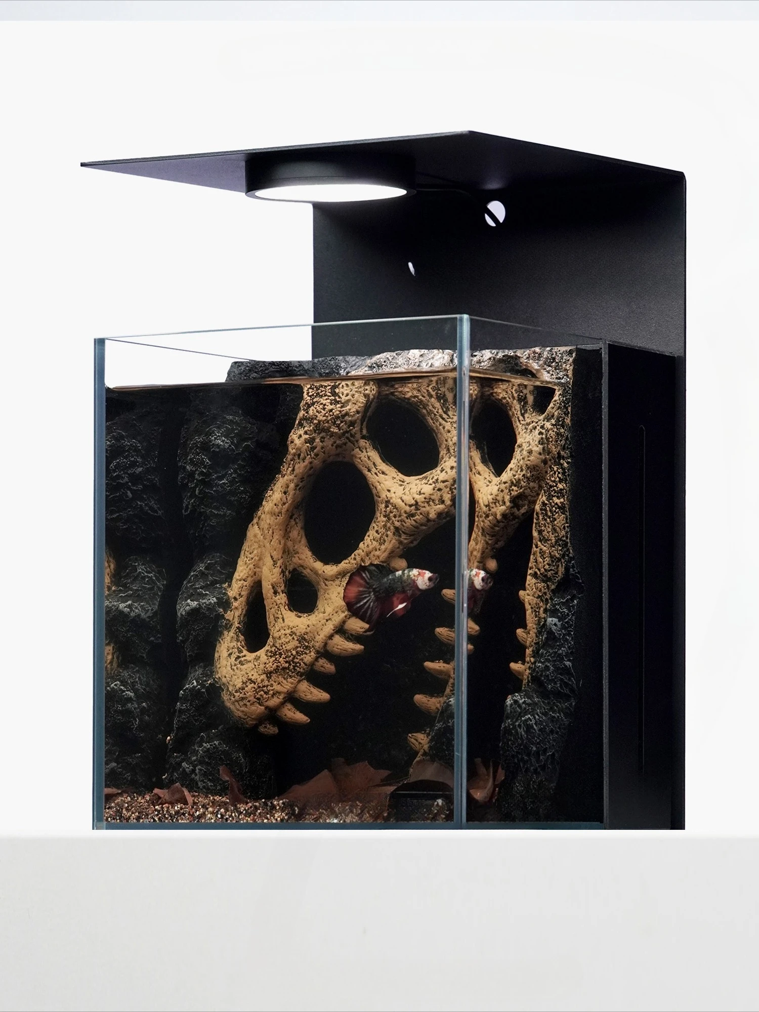 Micro-landscape landscaping Douyu ultra-white glass home desktop small fish tank
