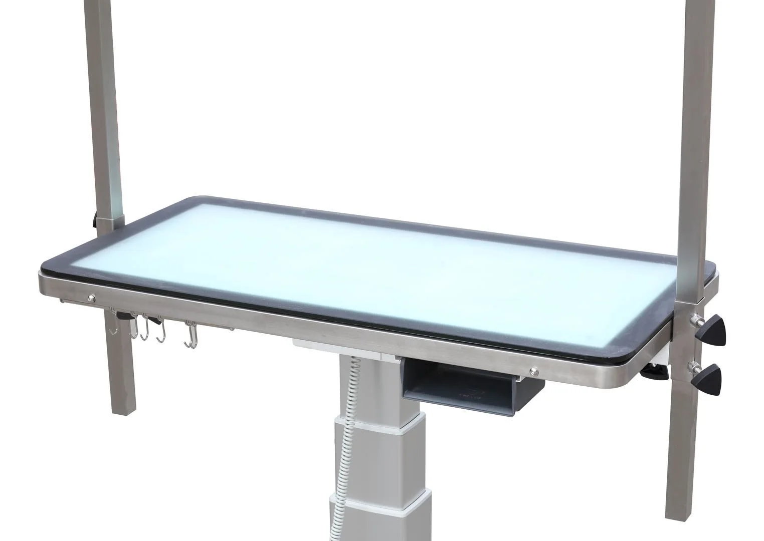 Pet Dog LED Linak Electric Lifting Large Breed Grooming Table
