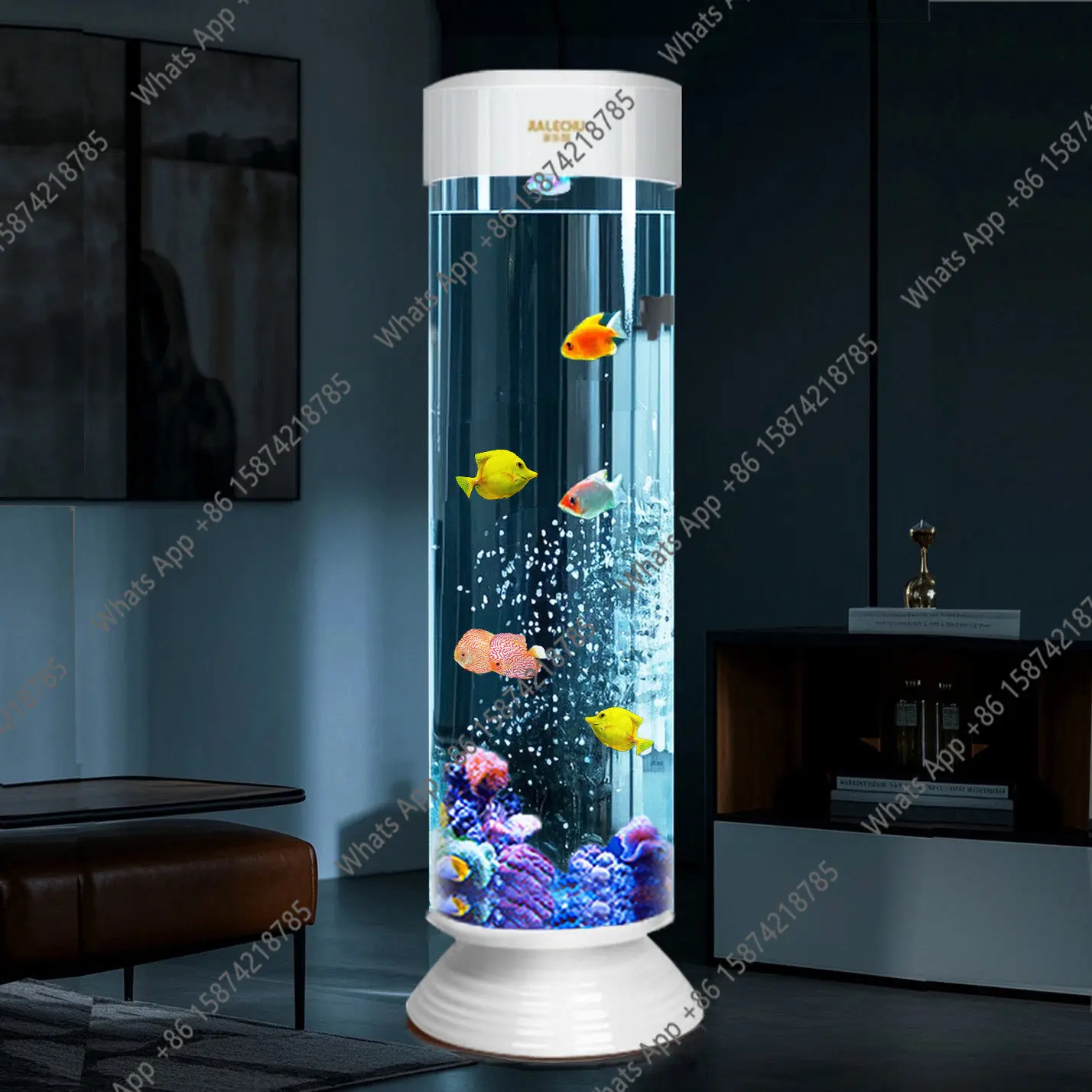 

Новый маленький цилиндрический акриловый аквариум для гостиной, вертикальный, безводный, круглый.