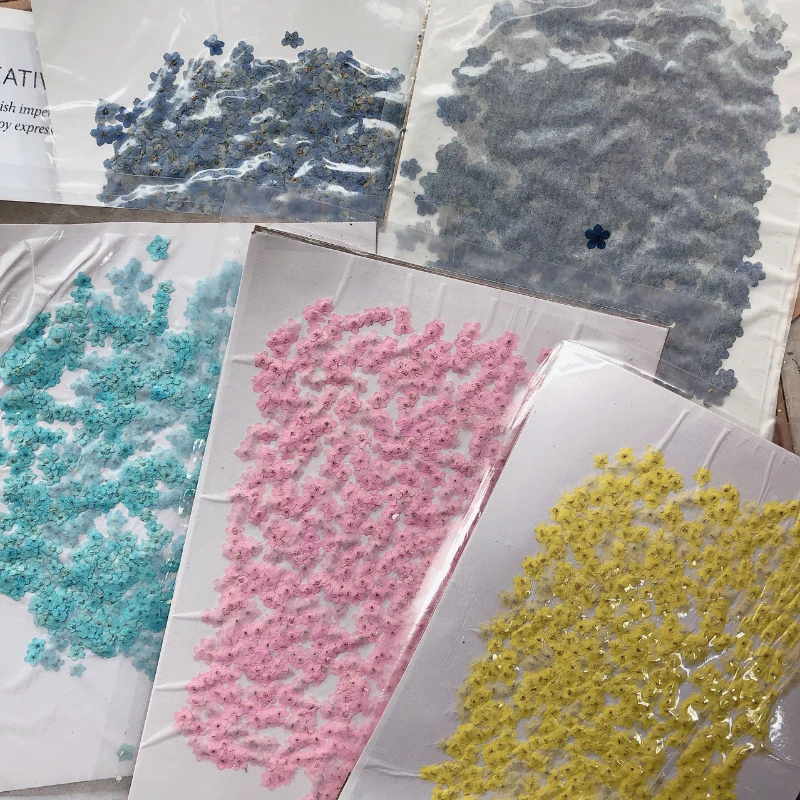 80 Stück/0,5-1,5 cm, Gepresste Mini-Vergissme-nicht-Blütenblätter, Gefärbte Echte Mini-Blumen für DIY-Nageldesign, Basteln, Foto-Geschenkkarten – Detail 6