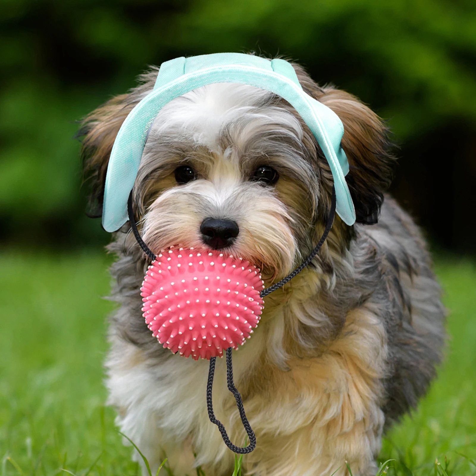 

Dog Sunscreen Pet Baseball Cap Summer Puppy Hat Fisherman's Bucket Hats for Dogs Medium