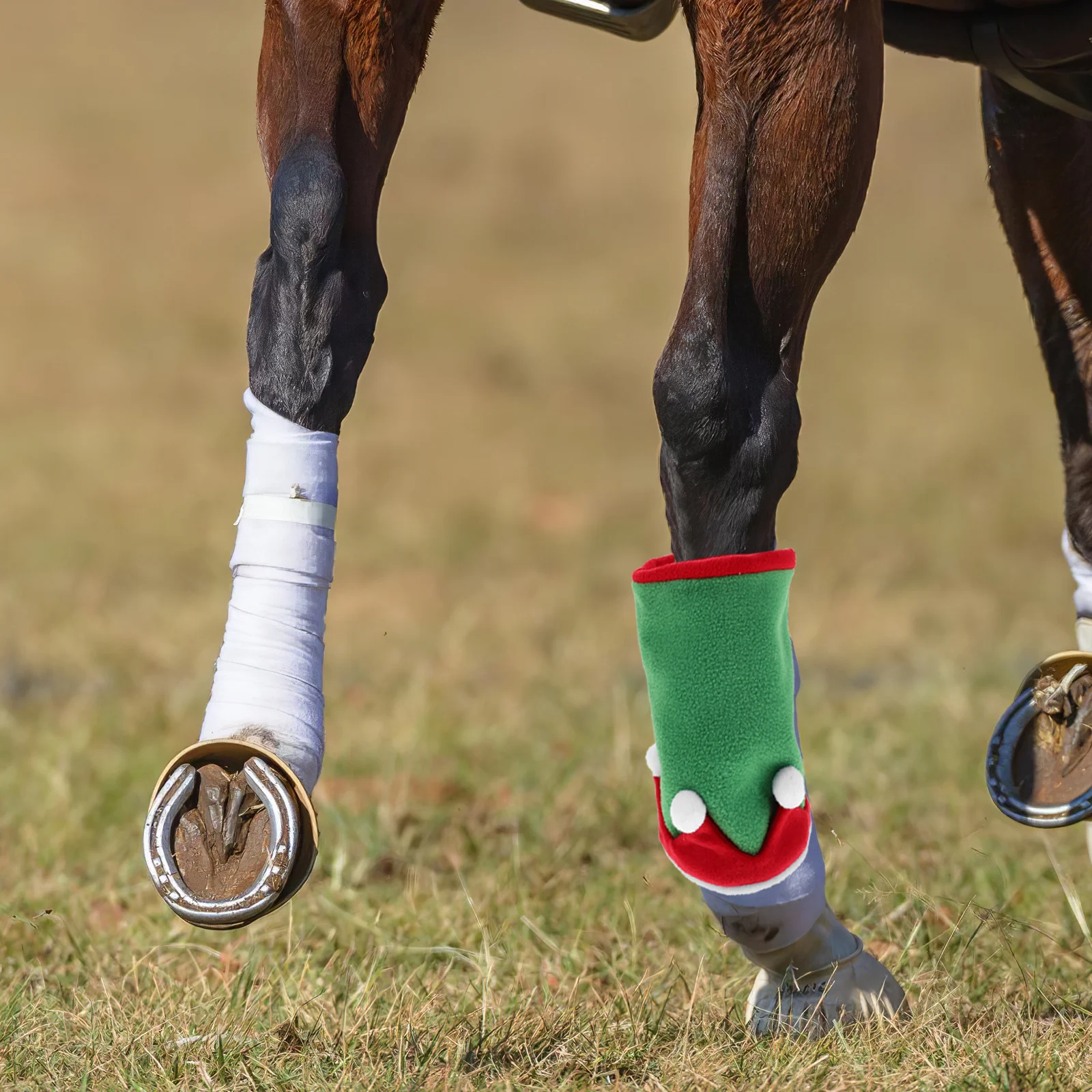 1Set Dekorasi Kuda Kostum Liburan Topi Pembungkus Kaki Perlengkapan Parade Natal Pelindung Penutup Kuda Dekorasi Liburan Natal