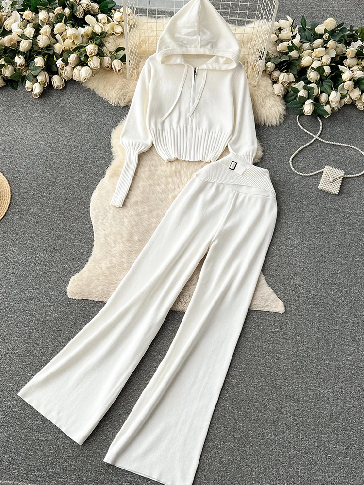 TWOTWINSTYLE Solid Casual Two Piece Set For Women Hooded Long Sleeve Coats High Waist Straight Loose Pant Chic Set Female Autumn