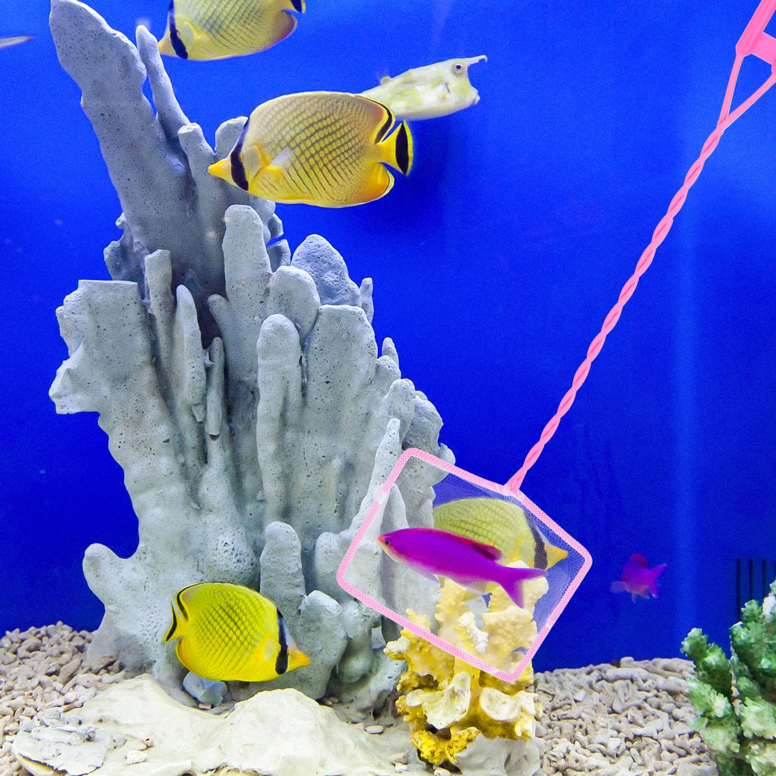 

4pcs Children Aquarium Fish Shrimp Fishing Net Net Catching Nets Aquarium Shrimp Small Kids Fishing Nets Durable H