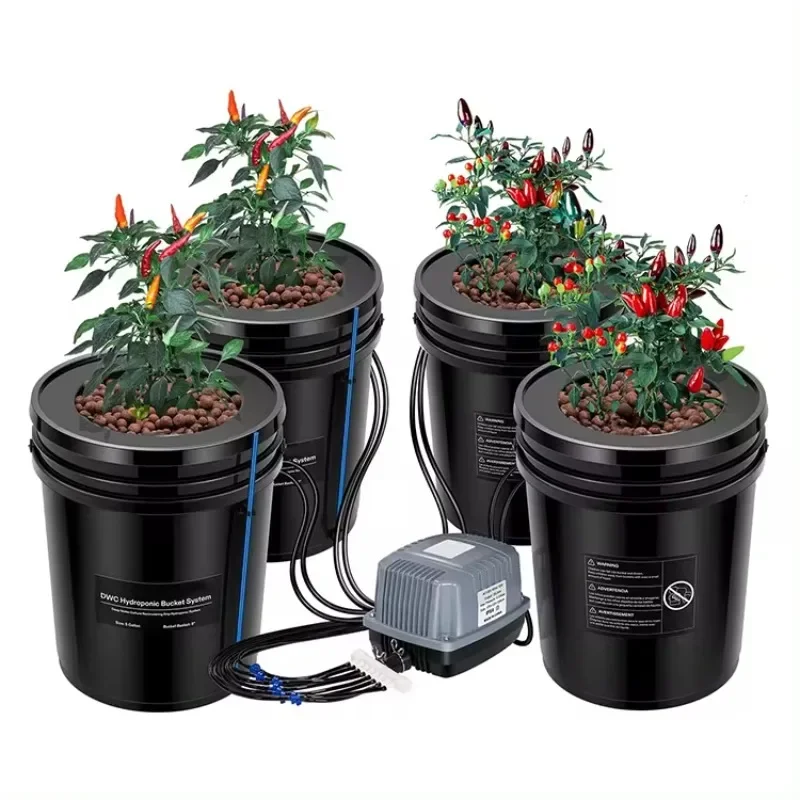 5 Gallon DWC Hydroponic System Kit